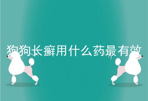 狗狗长癣用什么药最有效
