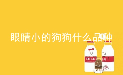 眼睛小的狗狗什么品种