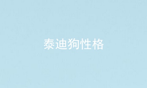 泰迪狗性格