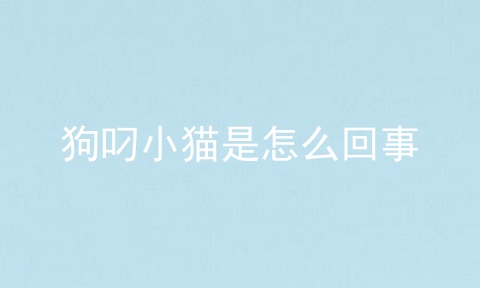 狗叼小猫是怎么回事
