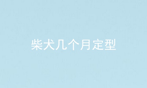 柴犬几个月定型