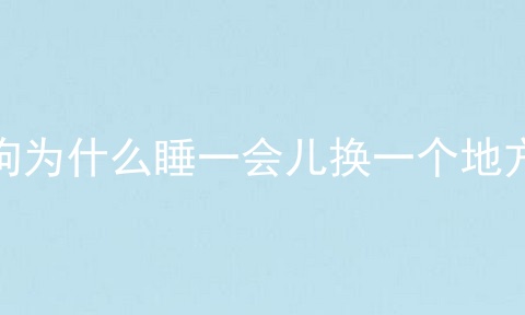 狗为什么睡一会儿换一个地方