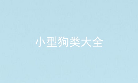 小型狗类大全