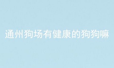 通州狗场有健康的狗狗嘛