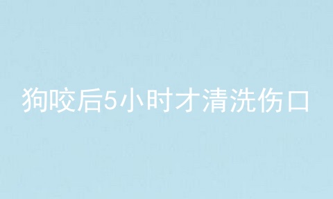 狗咬后5小时才清洗伤口