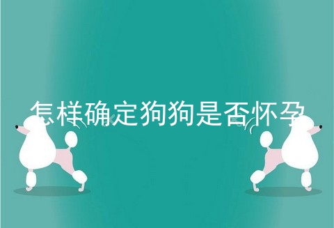 怎样确定狗狗是否怀孕