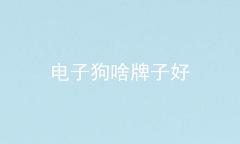 电子狗啥牌子好