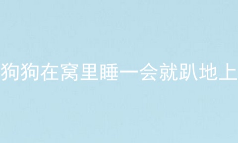 狗狗在窝里睡一会就趴地上