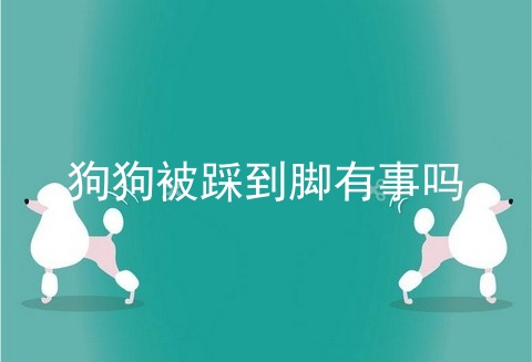 狗狗被踩到脚有事吗