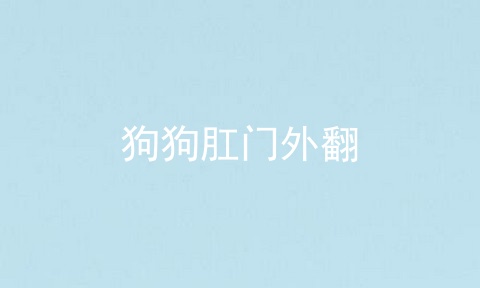 狗狗肛门外翻