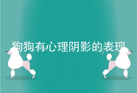 狗狗有心理阴影的表现
