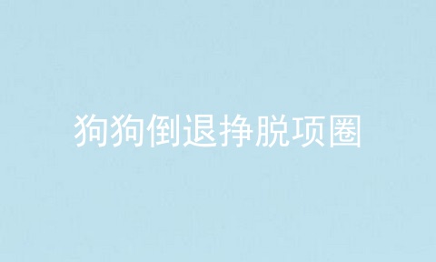 狗狗倒退挣脱项圈