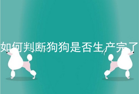 如何判断狗狗是否生产完了