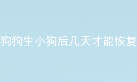 狗狗生小狗后几天才能恢复