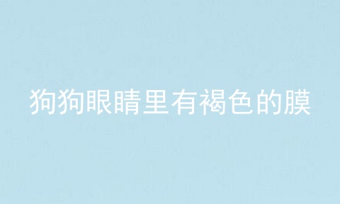 狗狗眼睛里有褐色的膜