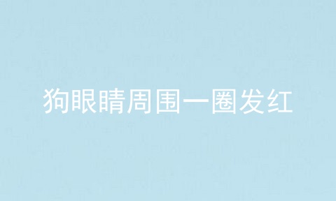狗眼睛周围一圈发红