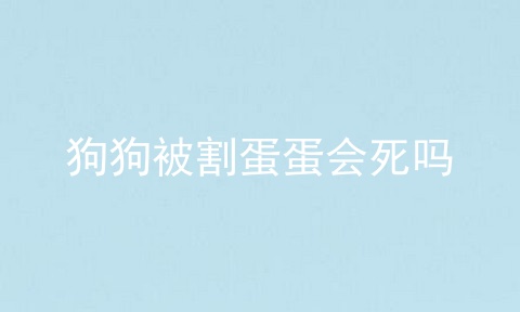 狗狗被割蛋蛋会死吗