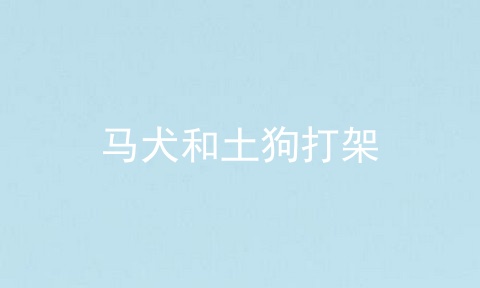 马犬和土狗打架