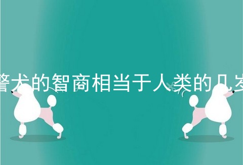 警犬的智商相当于人类的几岁