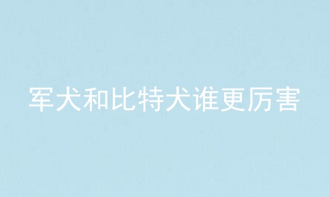 军犬和比特犬谁更厉害