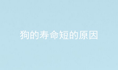 狗的寿命短的原因