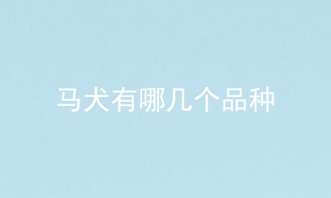 马犬有哪几个品种
