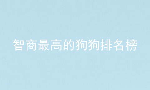 智商最高的狗狗排名榜
