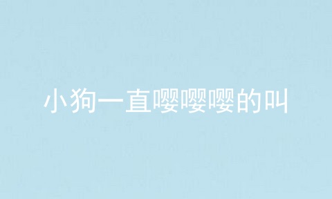 小狗一直嘤嘤嘤的叫