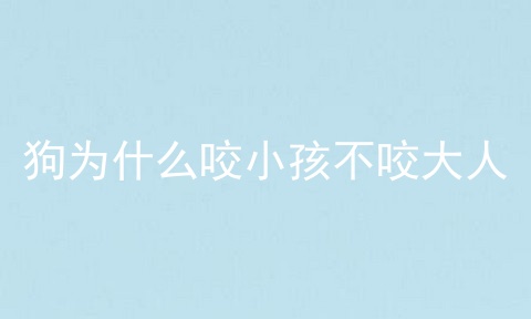 狗为什么咬小孩不咬大人