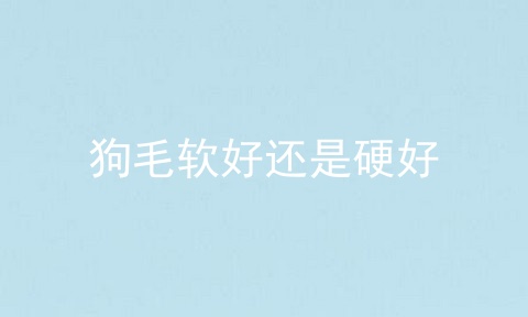 狗毛软好还是硬好