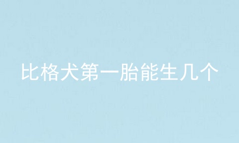 比格犬第一胎能生几个