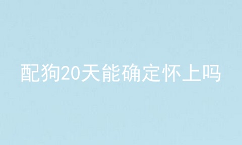 配狗20天能确定怀上吗
