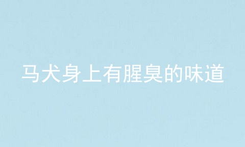 马犬身上有腥臭的味道