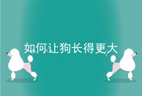 如何让狗长得更大