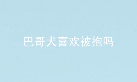 巴哥犬喜欢被抱吗