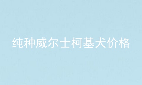 纯种威尔士柯基犬价格