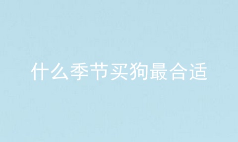 什么季节买狗最合适