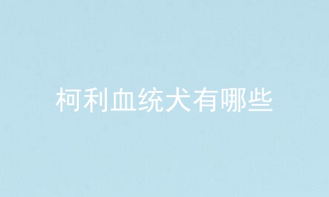 柯利血统犬有哪些
