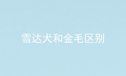 雪达犬和金毛区别
