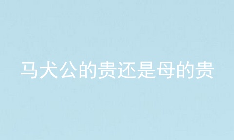 马犬公的贵还是母的贵