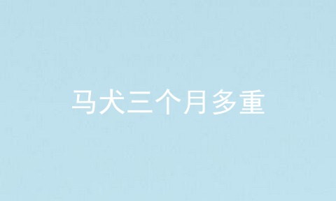马犬三个月多重