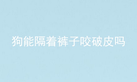 狗能隔着裤子咬破皮吗