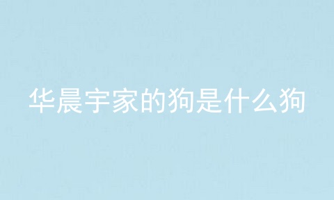 华晨宇家的狗是什么狗