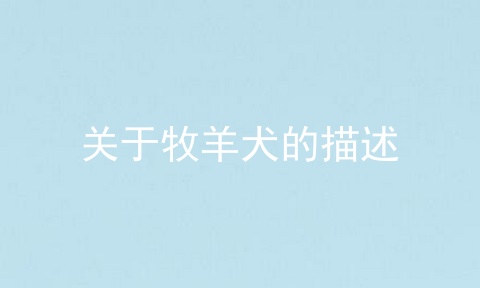 关于牧羊犬的描述