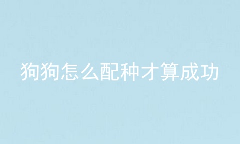 狗狗怎么配种才算成功