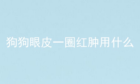 狗狗眼皮一圈红肿用什么