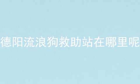德阳流浪狗救助站在哪里呢