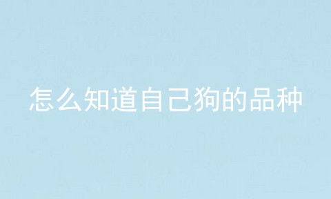 怎么知道自己狗的品种