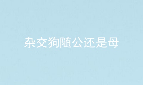 杂交狗随公还是母