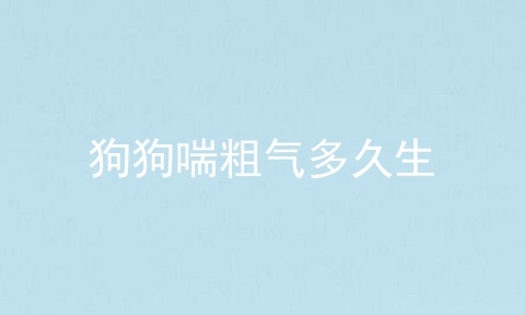 狗狗喘粗气多久生